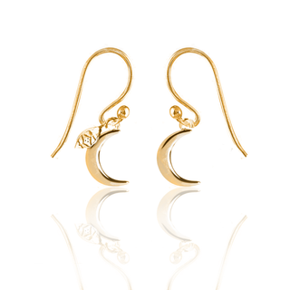 Earrings Simplicity Little Moon